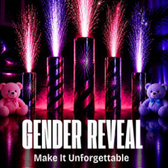 Gender Reveal 